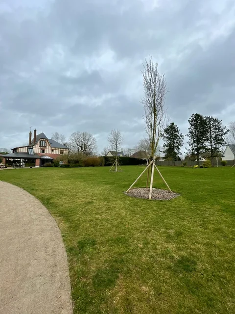 Espace engazonné avec de jeunes arbres tuteurés et une allée courbe.